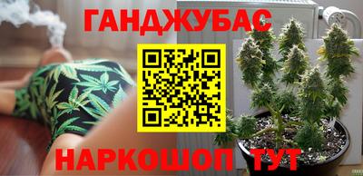 Альфа ПВП Краснознаменск