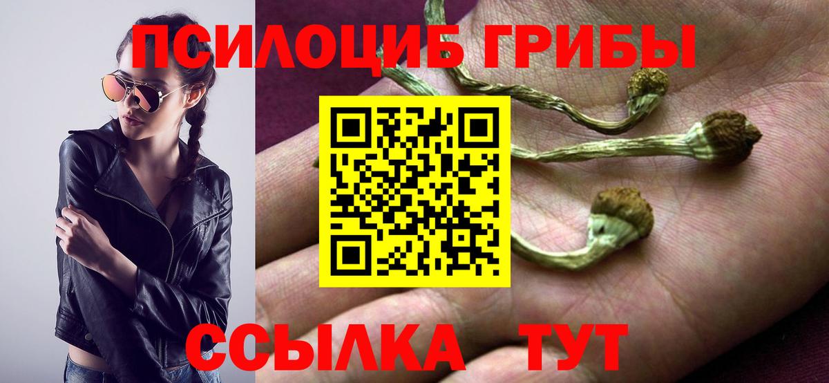 Псилоцибиновые грибы MAGIC MUSHROOMS Елец